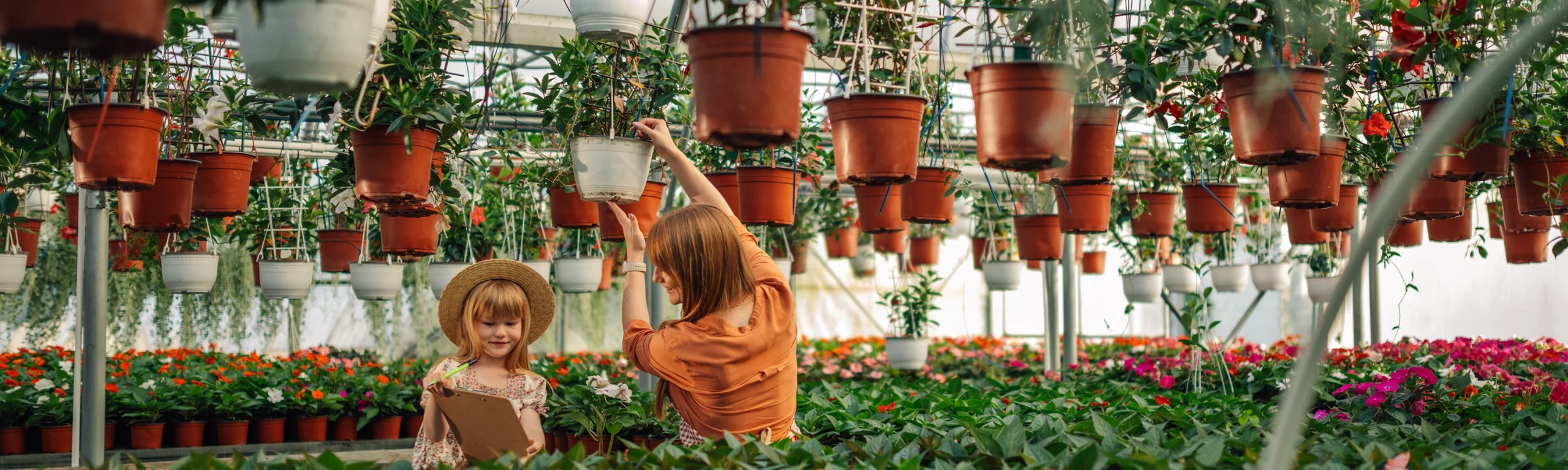 Vertikale Gärten: Wie Sie auch auf kleinem Raum großartige Ergebnisse erzielen