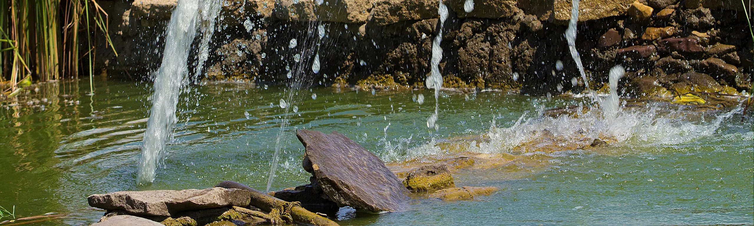 Wasser im Garten: Von Teichen bis zu Bewässerungssystemen