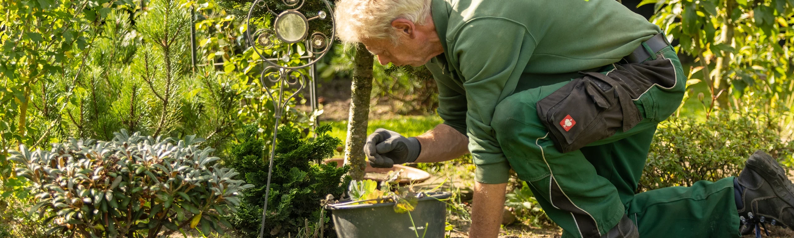 Naturgärten im Herbst: Ökologische Tipps für Tier- und Pflanzenfreunde aus Kaltenkirchen